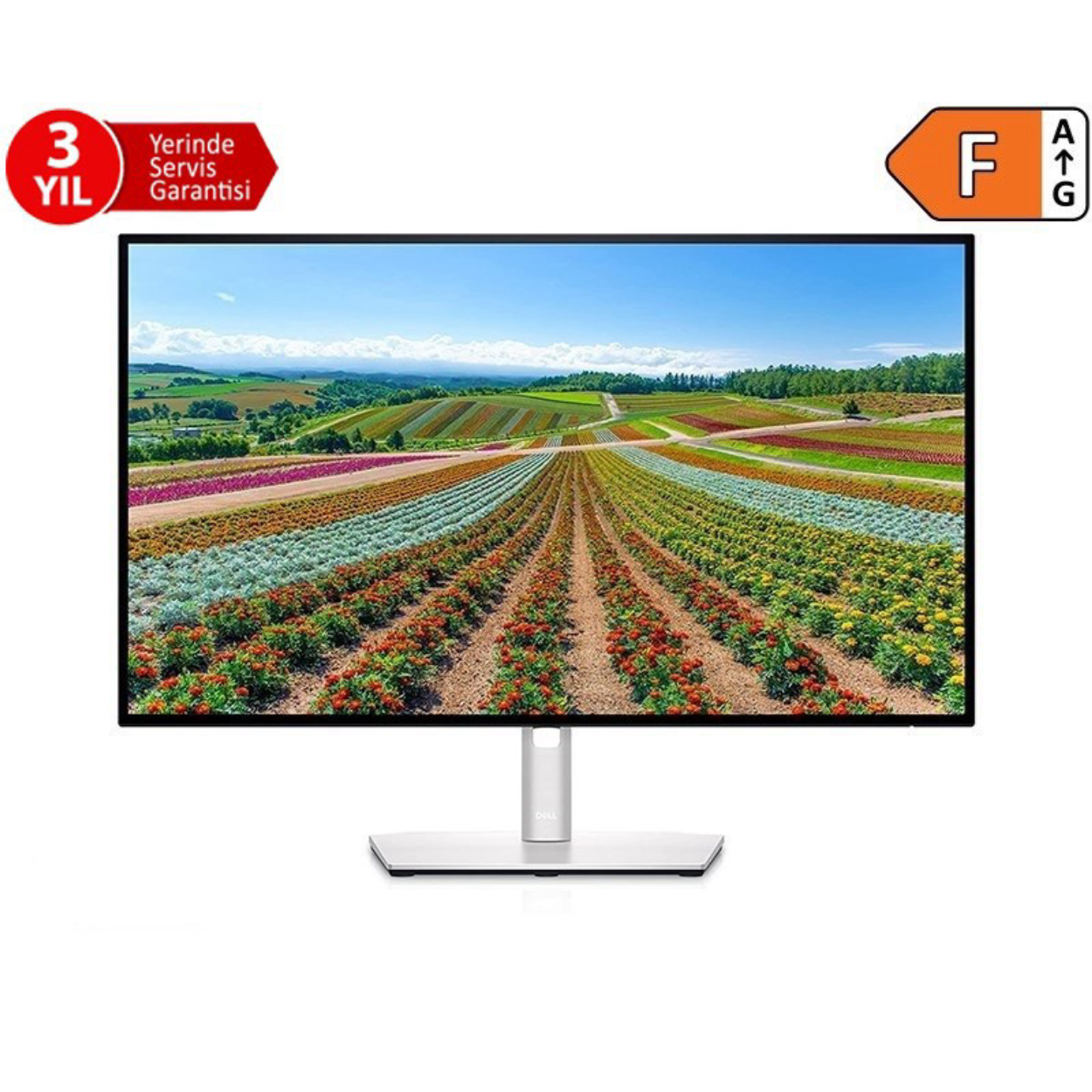 31.5" Dell P3223QE UHD 4K IPS 5ms 60Hz 350nt HDMI DP Type-C RJ45 VESA Pivot