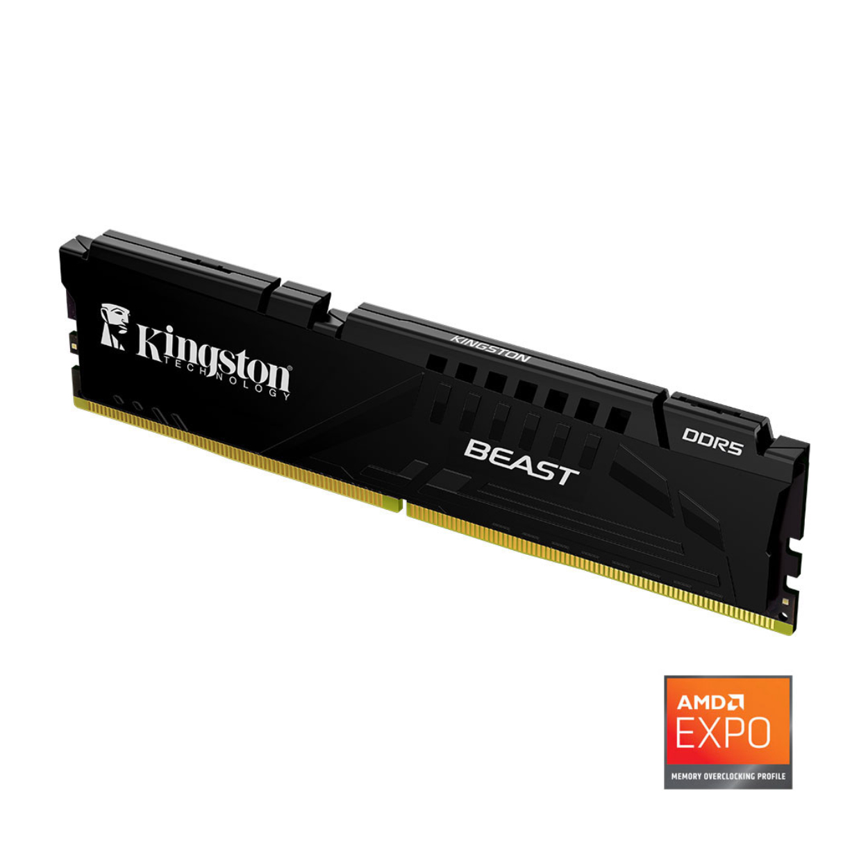 Kingston Beast 16GB DDR5 6000MHz CL36 PC Bellek (KF560C36BBE2-16TR)