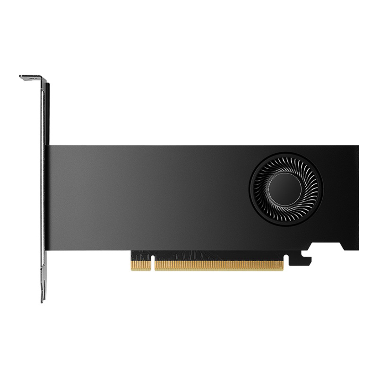 PNY 16GB Quadro RTX 2000 ADA GDDR6 128Bit 4xmDP Aksesuarsız [VCNRTX2000ADA-SB]
